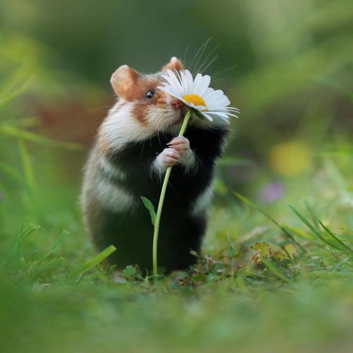 7942DB38-A6D5-4DB3-851B-150572F0FE1C