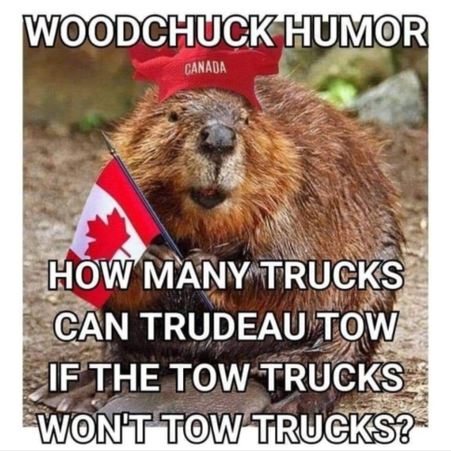 1644532493618_hub_od_