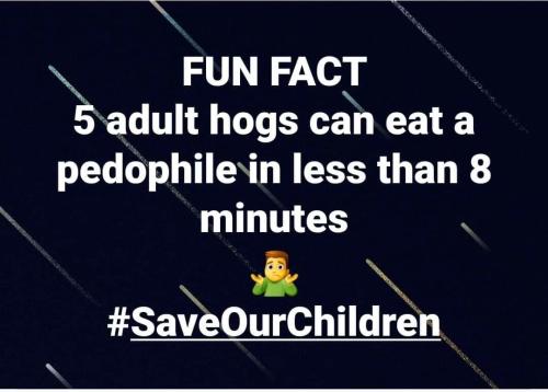 adulthogs