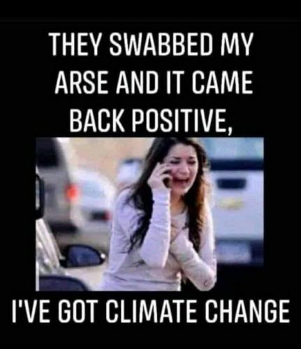 31dd88aa-cbcf-4764-91df-5bb69cfdf72fd (1)