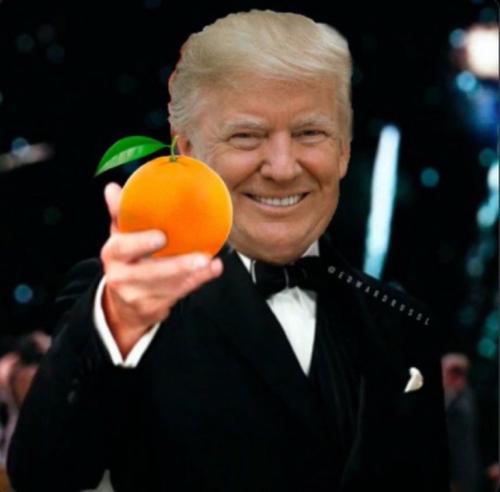 56a629f0b0ba1f6d39a476ee22b803bc_500x0