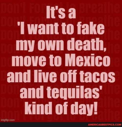 33B1C5D8-0323-4EFD-AAAF-74027FC9069E