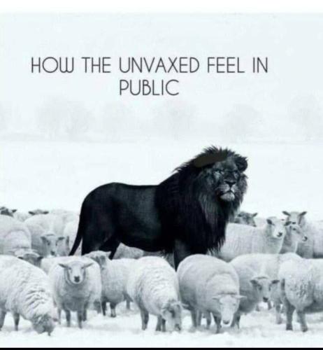 IMG_20220210_170851_895