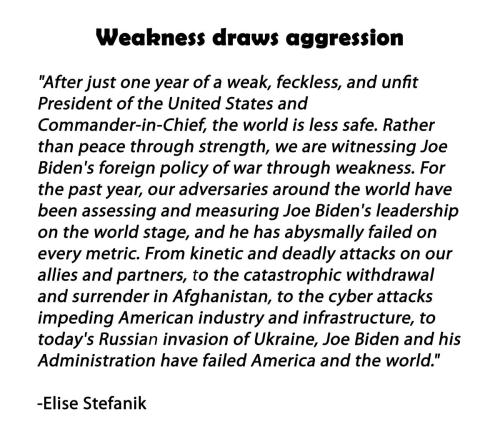 weaklinginchief