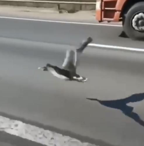 3E627195-5C61-4D97-9CAA-770917E6005C