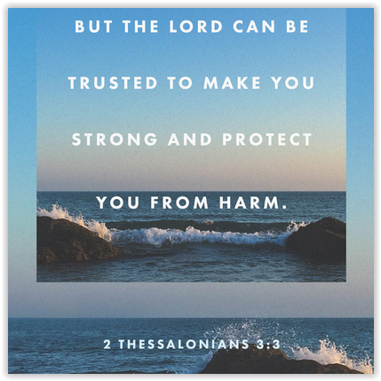 Screen Shot 02-17-22 at 05.23 AM