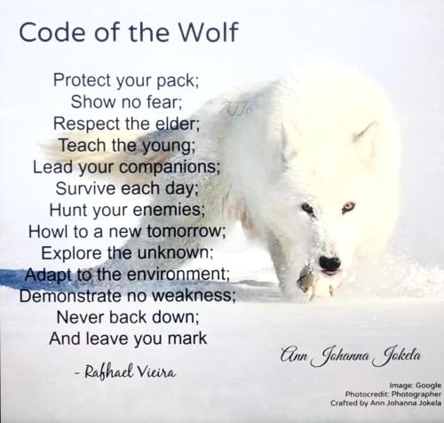 FABD5D85-1507-45B9-85E4-CE3D7C6D3872