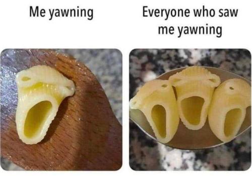 FB_IMG_1644527442563