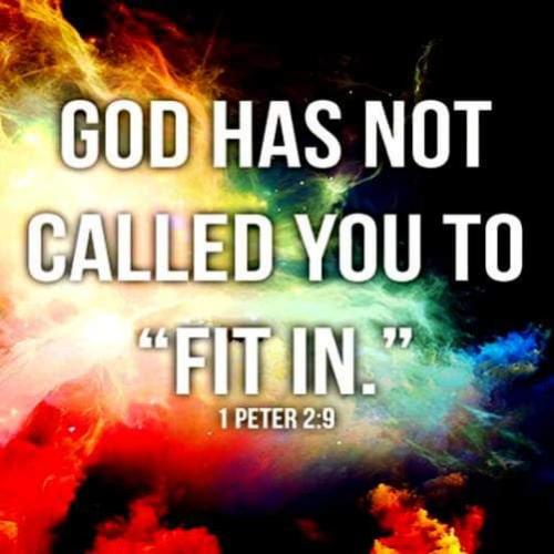 FB_IMG_1621095625756