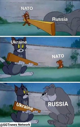 photo5240150746308131398