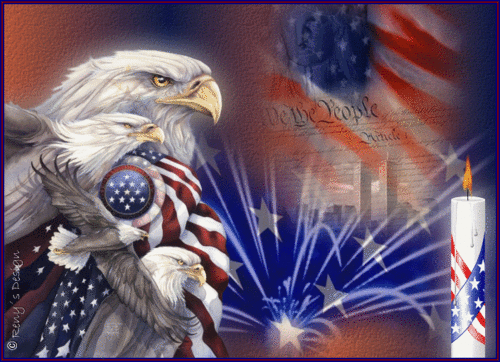 image of we the people not we the government