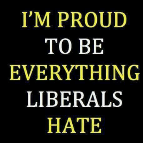 im-proud-to-be-everything-liberals-hate-★★★-patriots-who-14965628
