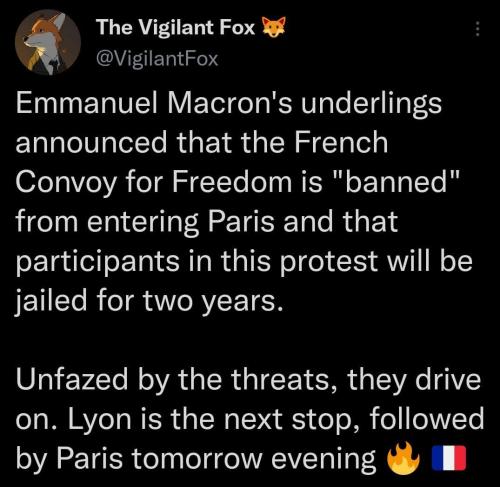 photo_2022-02-11_08-37-00