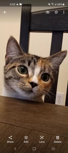 Screenshot_20220219-185351_Photos