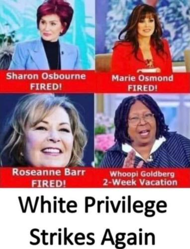 e42e8bf145effc7524d08c7c70e96fed_500x0