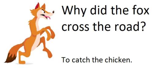 20220215 Fox Crossed the Road