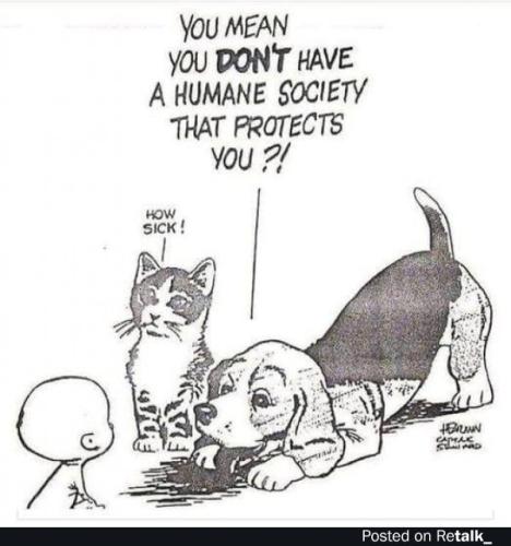 humane-society