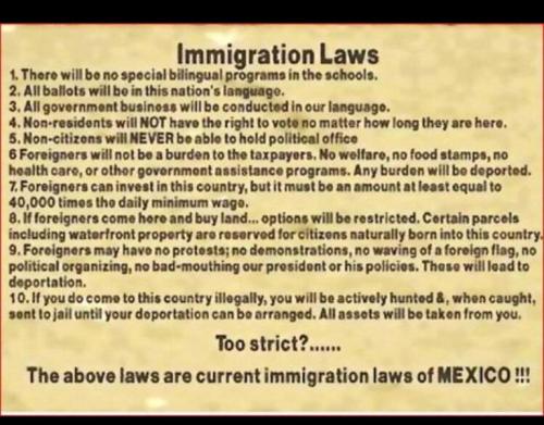 d2925de6bfedb31efe29c09e933749f6_500x0