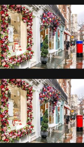 Screenshot_20220201-160853_Find the Difference