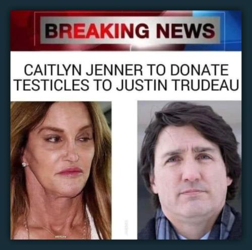 Trudeau Testicles