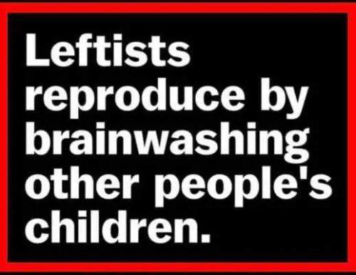 3bf5b58bf63dfd3bfb4e6def67e0ccfa