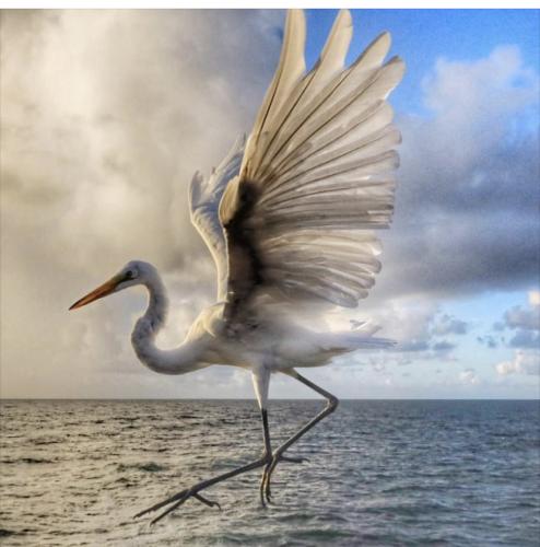 8F9CBD68-A9CD-4678-B3C6-47D6A6CDC9D9