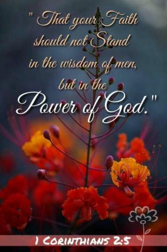 9fd55d98-1462-4e4c-a420-66dcfbca24d4