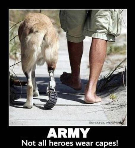 armycape