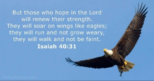 1645306920377_hub_od_