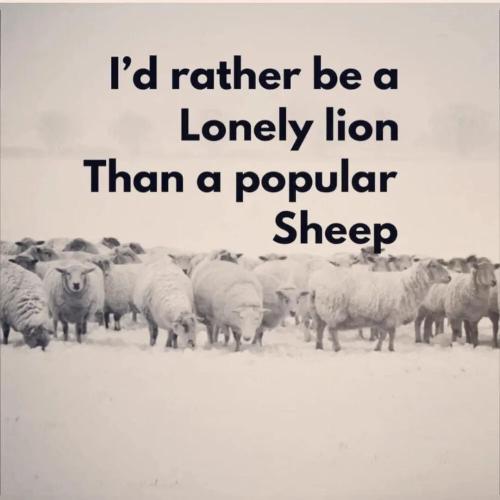 c9312ce1-56e9-4840-9f9b-65e1483f667f