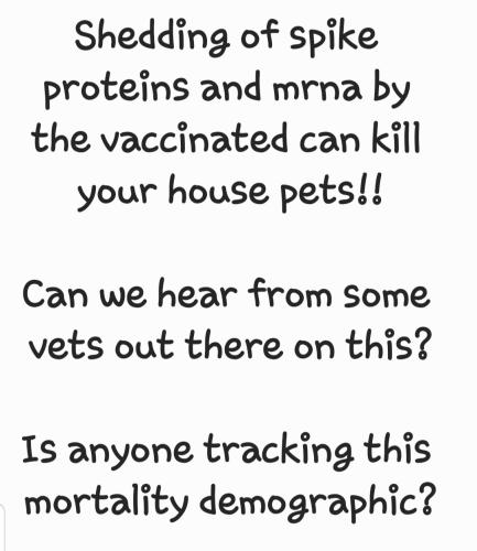 Screenshot_20220212-190815_S Note