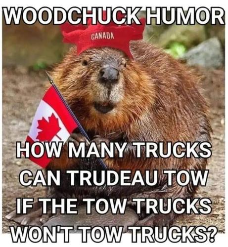 IMG_20220212_101454_982