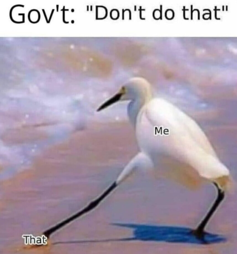 Meme524