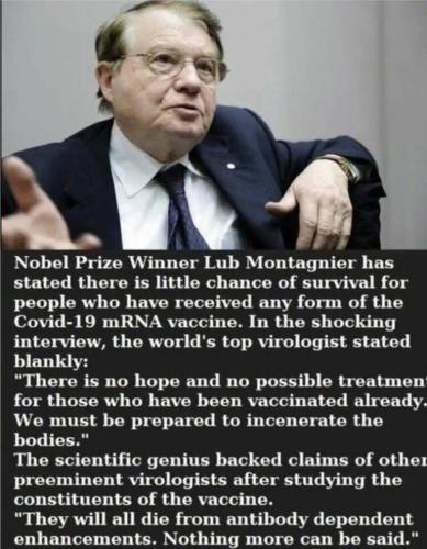 Lub Montagnier virologist