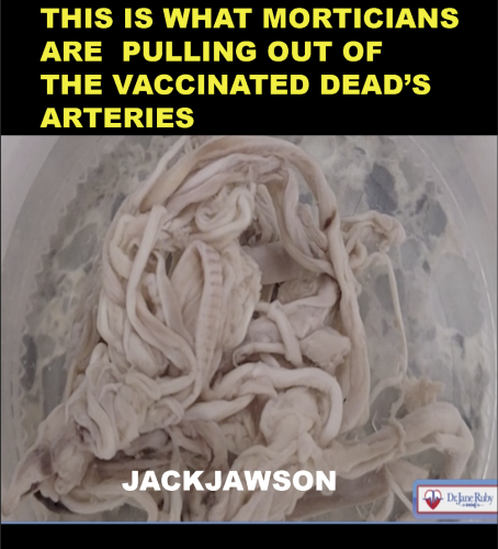 img - 2022-02-07T155425.964