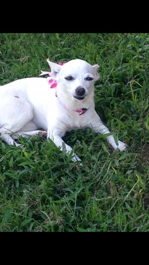 16B56705-EBF4-4626-BE44-EC25457E6BEC