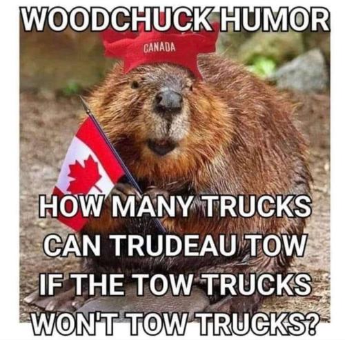 Canada - Trudeau - Woodchuck humor