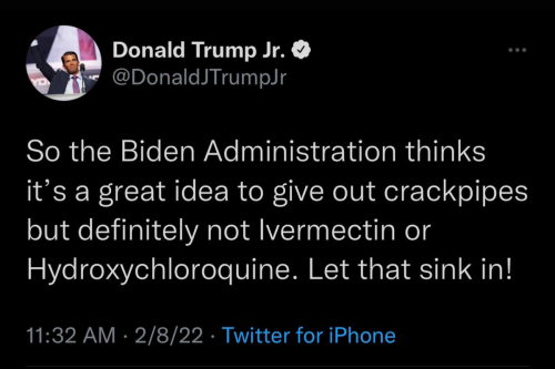 DJT Jr
