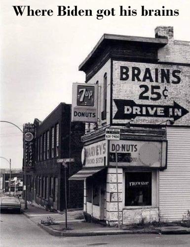 M Brains
