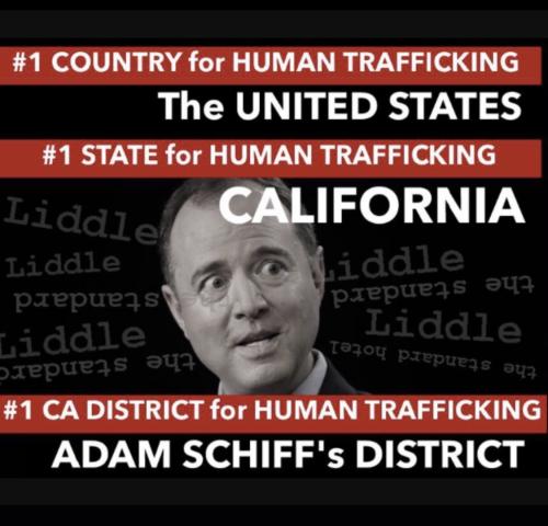 E0F24BFA-6D51-4B60-B877-293A805E74DD