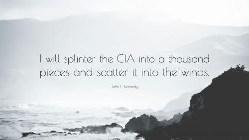 1738503-John-F-Kennedy-Quote-I-will-splinter-the-CIA-into-a-thousand