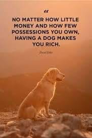Rich