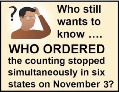 479706957a8f7edee26857fc65db0d23_500x0