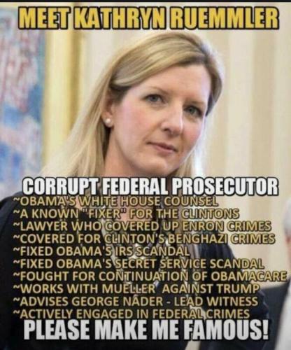 PLEASE SHARE!  Another faceless traitor lawyer doing their dirty work.  MAKE HER FAMOUS