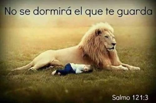 FB_IMG_1547722507605