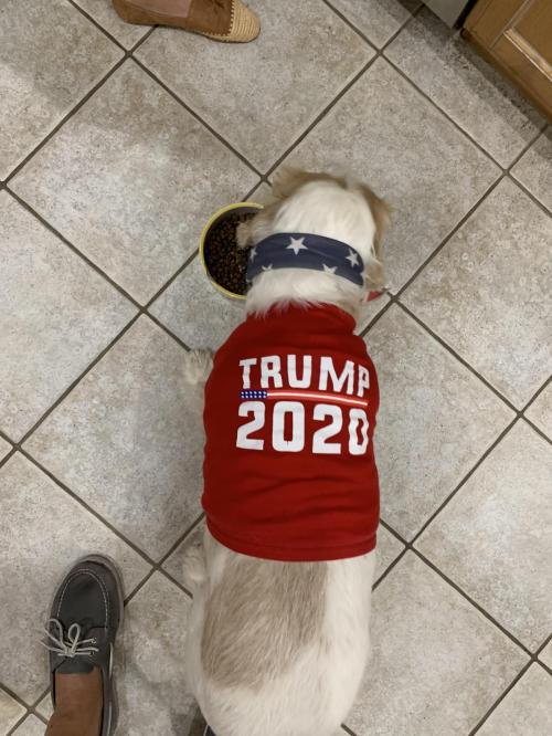 Cooper 2020