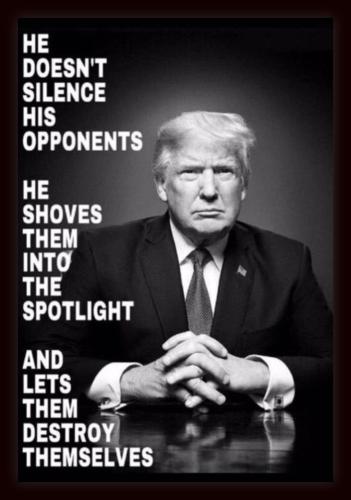 Destroying Themselves Dems