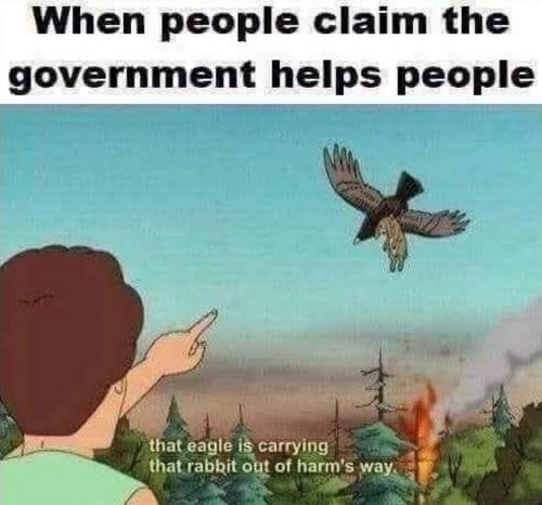 bideneaglegetsarabbit