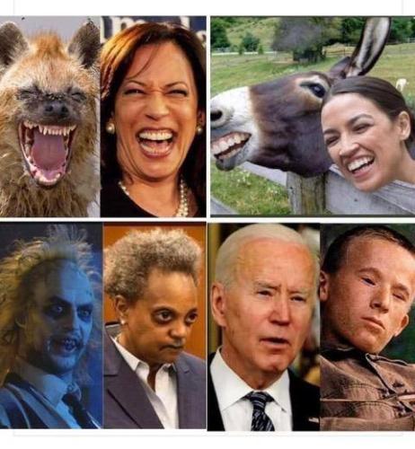 faces