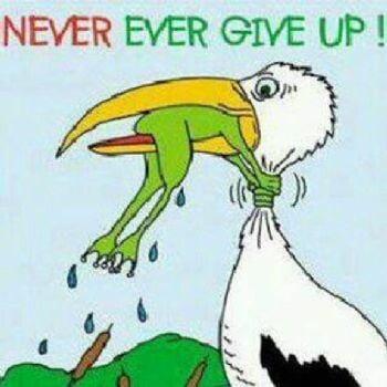 545F7674-8B2F-4072-93C2-0C90321AD3EC